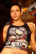 Foto Annunci Incontri Boy San Paolo Alejandro El Toro 005511949066337 - 4