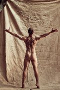 Foto Annunci Incontri Boy Verona Luca Ferrari 3534831489 - 2