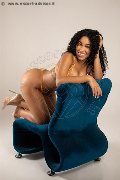 Foto Annunci Incontri Escort Treviso Perla 3921586689 - 8