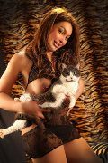 Foto Annunci Incontri Escort Verbania Alessa Venezuelana 3533541305 - 34