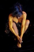 Foto Annunci Incontri Escort Viareggio Coco Madame Tantrica 3485395107 - 14