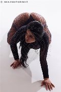 Foto Annunci Incontri Girl Avellino Erika 3385964983 - 17