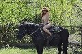 Foto Annunci Incontri Girl Chiavari Karyna 3342341880 - 22