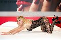 Foto Annunci Incontri Girl Foggia Alexandra Miss 3468002809 - 45