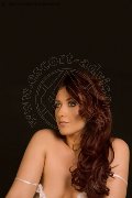 Foto Annunci Incontri Girl Genova Elisabeth 3461470527 - 7