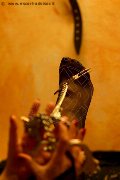 Foto Annunci Incontri Mistress Marina Di Carrara Lady De Sade Italy 3392160761 - 6
