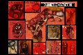 Foto Annunci Incontri Mistress Padova Fantasia 3485930348 - 65