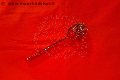 Foto Annunci Incontri Mistress Padova Fantasia 3485930348 - 84