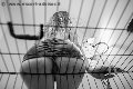 Foto Annunci Incontri Mistress Verona Lady Giuliette 3486833721 - 16