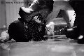 Foto Annunci Incontri Mistress Vicenza Madame Jacqueline Domina 3884822293 - 23