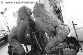 Foto Annunci Incontri Mistresstrans Forl� Lady Kika Doncato 3937317905 - 5