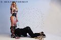 Foto Annunci Incontri Mistresstrans Milano Lady Ally Costa 3446988792 - 14