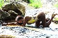 Foto Annunci Incontri Trans Aosta Sexy Venere Nera 3283286338 - 9