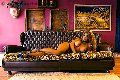 Foto Annunci Incontri Trans Brescia Jessica Aryani 3932507943 - 23