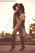 Foto Annunci Incontri Trans Brescia Paula Bituschini 3898857998 - 143