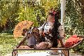 Foto Annunci Incontri Trans Firenze Diana Ferraz 3271287566 - 91