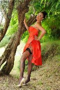 Foto Annunci Incontri Trans Fortaleza Keylla Marques Pornostar Xxl 3337112655 - 62
