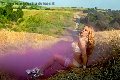 Foto Annunci Incontri Trans Francoforte Ts Angelina Crazy Sexy 00491788993648 - 21