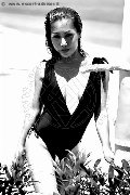 Foto Annunci Incontri Trans Liisa Asiatica Ladyboy 3489026722 - 382