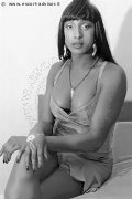 Foto Annunci Incontri Trans Malnate Serena Xl 3494525094 - 10