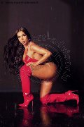 Foto Annunci Incontri Trans Milano Al�cia Lins 3247827663 - 4