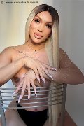 Foto Annunci Incontri Trans Milano Angel Bunny 3474642611 - 1