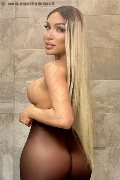 Foto Annunci Incontri Trans Milano Angel Bunny 3474642611 - 2