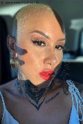 Foto Annunci Incontri Trans Milano Ath�na 3270729765 - 14