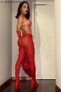 Foto Annunci Incontri Trans Milano Bella Xxl 3935292998 - 5