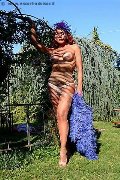 Foto Annunci Incontri Trans Milano Claudia B. 3425725367 - 44