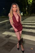 Foto Annunci Incontri Trans Milano Duda Castro 3293898373 - 49