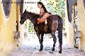 Foto Annunci Incontri Trans Milano Gabriellaxxl Brasile 3292213799 - 69