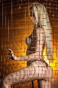 Foto Annunci Incontri Trans Milano Giselly Angel 3204550007 - 25