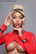 Foto Annunci Incontri Trans Milano Karollayne Arruda 3277205075 - 41