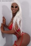 Foto Annunci Incontri Trans Milano Virna La Super Dotata 3494393969 - 8