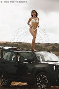 Foto Annunci Incontri Trans Modena Vanessa Hilton 3245846577 - 110