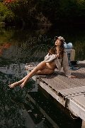Foto Annunci Incontri Trans Modena Vanessa Hilton 3245846577 - 59