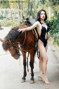 Foto Annunci Incontri Trans Pordenone Bianca Lady Boy 3932233064 - 4