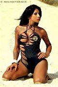 Foto Annunci Incontri Trans Recife Sabry 005581995397865 - 2