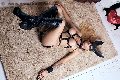 Foto Annunci Incontri Trans Roma Bruna Mor 3510998222 - 30