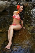 Foto Annunci Incontri Trans Stoccarda Ts Kimberly 004915175448868 - 7