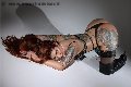 Foto Annunci Incontri Trans Torino Foxxy Jasmine 3472169085 - 16