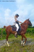 Foto Annunci Incontri Trans Treviso Valeria 3388718849 - 75