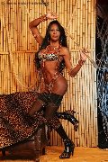 Foto Annunci Incontri Trans Vercelli Alessandra Gatta Nera 3488811524 - 54