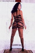 Foto Annunci Incontri Transescort Alessandria Pamela Trans Fitness 3511205888 - 107