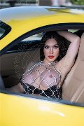 Foto Annunci Incontri Transescort Amsterdam Kim Tifany 3447063881 - 1