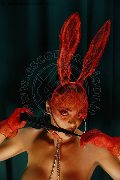 Foto Annunci Incontri Transescort Bergamo Kartika 3492231753 - 10