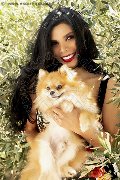 Foto Annunci Incontri Transescort Bologna Ariadna 3887519396 - 76