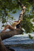 Foto Annunci Incontri Transescort Brescia Kartika 3492231753 - 67