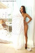 Foto Annunci Incontri Transescort Brescia Kartika 3492231753 - 109